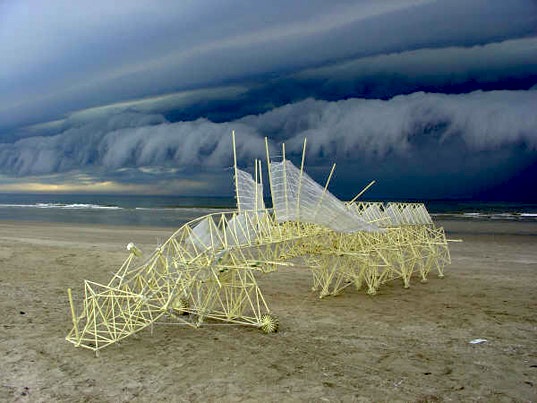 Strandbeest Beach Wonderful